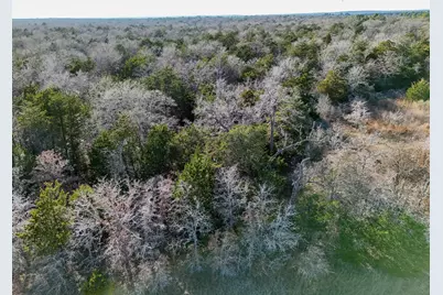 Lot 15 Antioch Road, Paige, TX 78659 - Photo 9