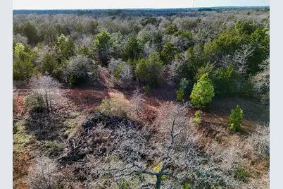 Lot 15 Antioch Road, Paige, TX 78659 - Photo 17