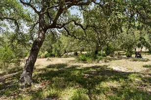 2591 Spring Valley Dr, Dripping Springs, TX 78620 - Photo 31