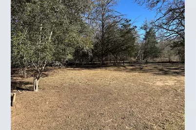 438 Mount Olive Road #A, Cedar Creek, TX 78612 - Photo 23