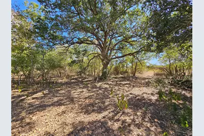 2364 Westwood Road, Lockhart, TX 78644 - Photo 5