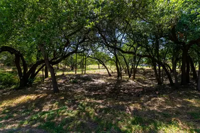 420 Blanco River Ranch Boulevard, San Marcos, TX 78666 - Photo 5