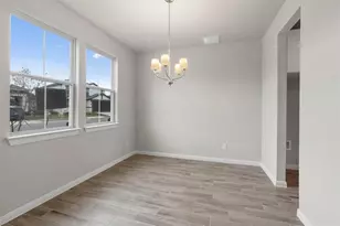 221 Comet Pointe Dr, Georgetown, TX 78628 - Photo 11