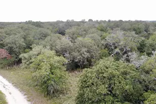 320 Daisy Haven Ln, Seguin, TX 78155 - Photo 7