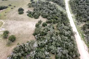 320 Daisy Haven Ln, Seguin, TX 78155 - Photo 5