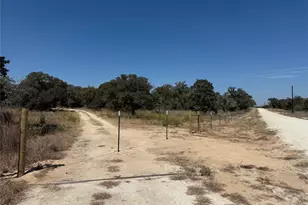 320 Daisy Haven Ln, Seguin, TX 78155 - Photo 3