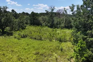 379 Matthew Cove, Bastrop, TX 78602 - Photo 33