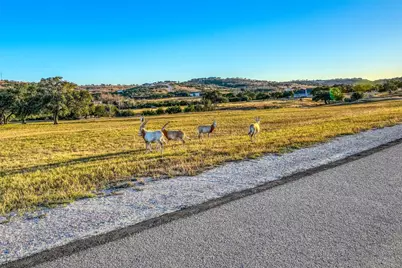 136 & 137 Falling Oak Drive, Blanco, TX 78606 - Photo 15