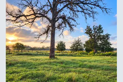 1791 County Road 441, Harwood, TX 78632 - Photo 7