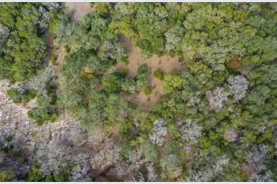 525 Nameless Road, Driftwood, TX 78619 - Photo 3