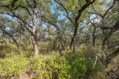 600 Summit Pass, San Marcos, TX 78666 - Photo 17