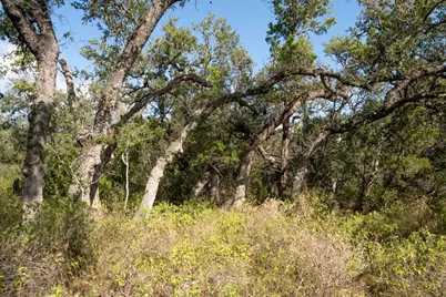 600 Summit Pass, San Marcos, TX 78666 - Photo 11