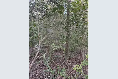 Lot 608 Waimanalo Drive, Bastrop, TX 78602 - Photo 5