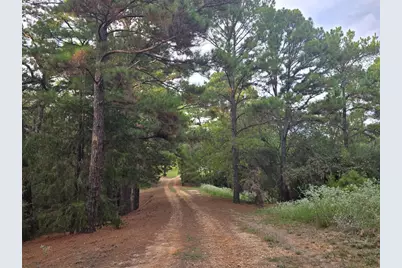 2438 Fm 535 Highway, Rosanky, TX 78953 - Photo 3