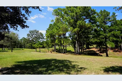 2438 Fm 535 Highway, Rosanky, TX 78953 - Photo 7