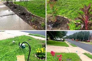 3845 Harvey Penick Dr, Round Rock, TX 78664 - Photo 19