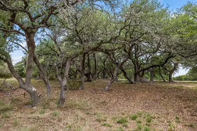 6594 W Hwy 290, Dripping Springs, TX 78620 - Photo 9