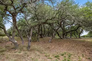 6594 W Hwy 290, Dripping Springs, TX 78620 - Photo 9