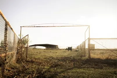 247 E Fm 581 Highway, Lometa, TX 76853 - Photo 13