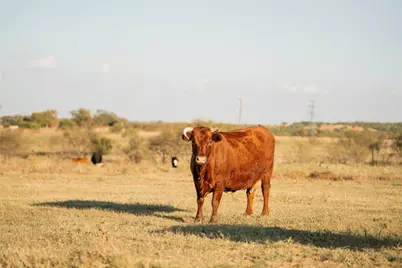 247 E Fm 581 Highway, Lometa, TX 76853 - Photo 31