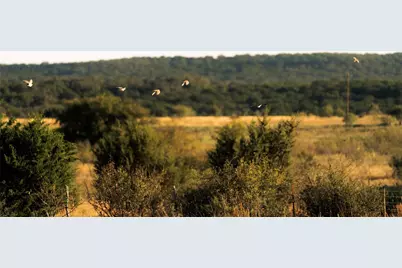 247 E Fm 581 Highway, Lometa, TX 76853 - Photo 5