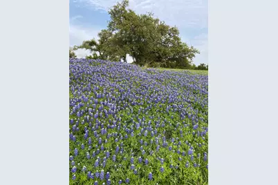 1041 Naranjo Drive, Georgetown, TX 78628 - Photo 31