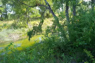 Lot 32 Serenity Dr, Bertram, TX 78605 - Photo 1