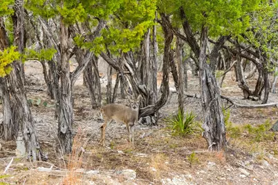 17609 Regatta View Drive, Jonestown, TX 78645 - Photo 23