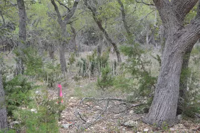 4016 McGregor Lane, Dripping Springs, TX 78620 - Photo 35