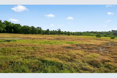 (Tbd) 2959 Fm 20 Highway, Red Rock, TX 78662 - Photo 13