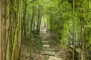 1007 E 8th St, Austin, TX 78702 - Photo 39