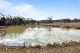 N/A County Road 481, Thrall, TX 76578 - Photo 1