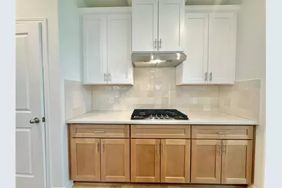 172 White Horses Drive, Kyle, TX 78640 - Photo 5