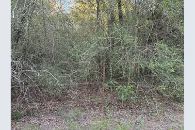 2933 County Road 457, Thorndale, TX 76577 - Photo 11