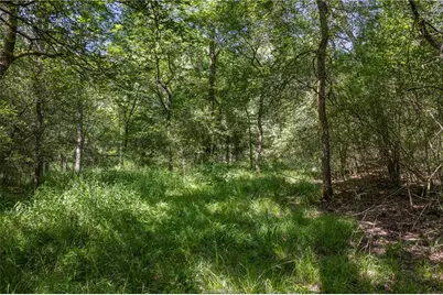 Tbd Weber Road, Bryan, TX 77808 - Photo 7