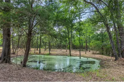 Tbd Weber Road, Bryan, TX 77808 - Photo 5