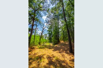 677 Old Antioch Road, Smithville, TX 78957 - Photo 5