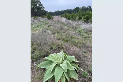 Lot 52 Clearwater Canyon Road, Bandera, TX 78003 - Photo 27