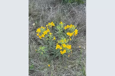 Lot 52 Clearwater Canyon Road, Bandera, TX 78003 - Photo 5