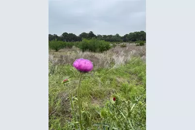 Lot 52 Clearwater Canyon Road, Bandera, TX 78003 - Photo 29