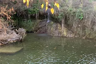 331 Fantail Loop, Austin, TX 78734 - Photo 3