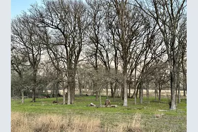Tbd Cr 118 Road, Giddings, TX 78942 - Photo 5