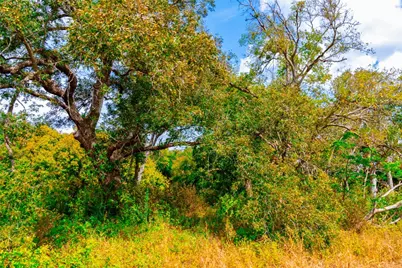 159 Brushy Creek Trail, Hutto, TX 78634 - Photo 13