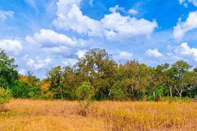 159 Brushy Creek Trail, Hutto, TX 78634 - Photo 15