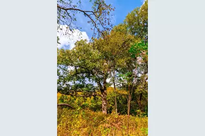 159 Brushy Creek Trail, Hutto, TX 78634 - Photo 7