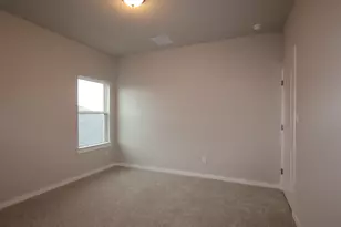234 Grayson Elm Pass, Dripping Springs, TX 78620 - Photo 11