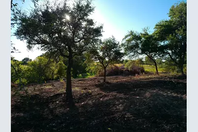 Lot 34 Serenity Drive, Bertram, TX 78605 - Photo 9