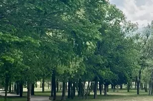 14616 Walt Whitman Trail, Pflugerville, TX 78660 - Photo 31