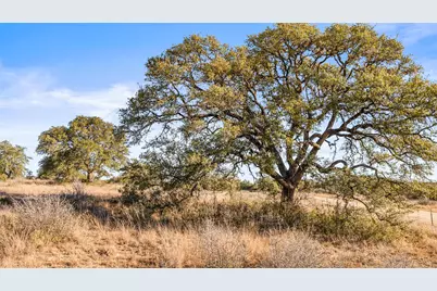1422-17 Rm 2766, Johnson City, TX 78636 - Photo 1