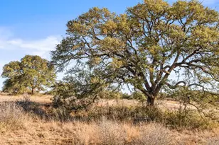 1422-17 Rm 2766, Johnson City, TX 78636 - Photo 1